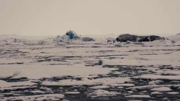 Diferentes Movimentos Câmera Mostrando Icebergs Glacier Lagoon Islândia Tiros Luz — Vídeo de Stock