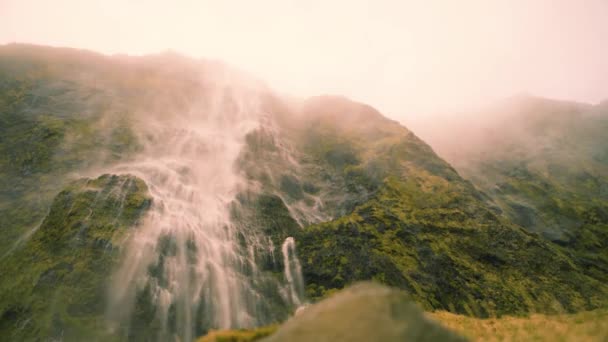 平静的瀑布 清澈的泉水从布满青苔的岩石的悬崖上流下来 低角度 宽射门 — 图库视频影像