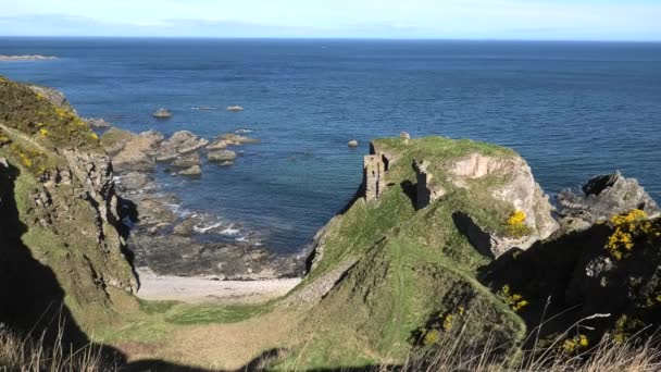 Ruine Château Findlater Vue Dessus Baie — Video