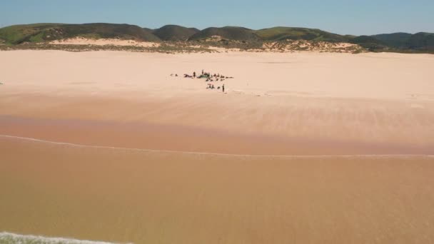 Aérien Surfer Sur Plage Bordeira Dans Algarve Portugal — Video