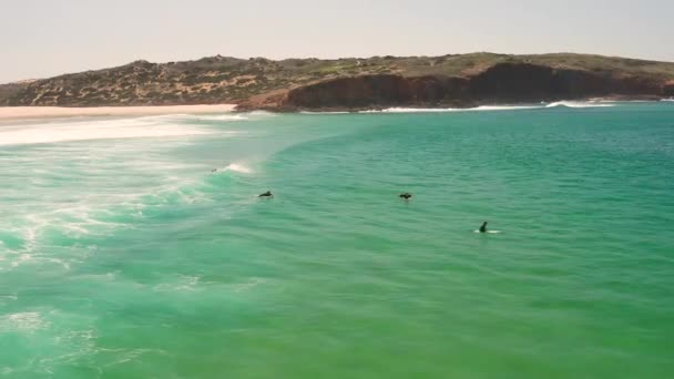Aérea Surfeando Playa Bordeira Algarve Portugal — Vídeos de Stock