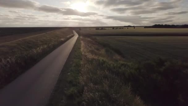 Vol Rapide Drone Vers Avant Dessus Une Route Digue Vide — Video