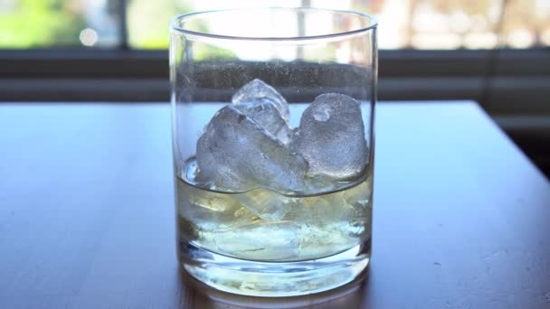 Barman Die Lang Drinkt Met Tequila Tonic Water Mixologisch Concept — Stockvideo