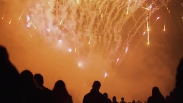 Fireworks Spray Rapidly Night Sky Creating Bright Colorful Flashes Light — Stock Video