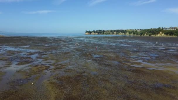 低潮位のビーチの上を飛行する空中の景色 人々が歩いて 陸軍湾 ニュージーランド カメラの角度でカクテルを選ぶ 広い角度 人々に飛んで — ストック動画