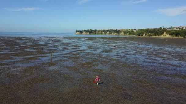 Vista Aérea Volando Sobre Una Playa Marea Baja Con Gente — Vídeos de Stock