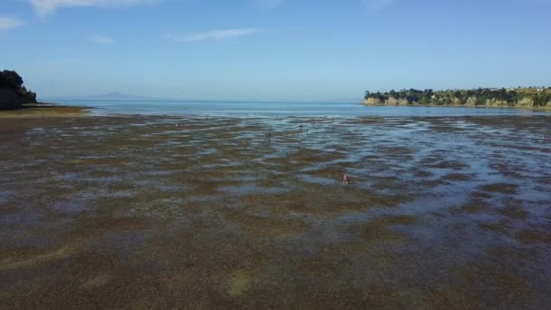 Vista Aérea Volando Sobre Una Playa Marea Baja Con Gente — Vídeos de Stock