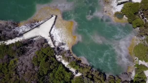 Yeni Zelanda Rotorua Kuirau Park Doğal Buharlı Termal Havzası — Stok video