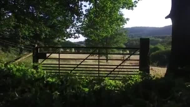 Schilderachtige Vlucht Van Een Bosrijke Omgeving Een Metalen Hek Een — Stockvideo