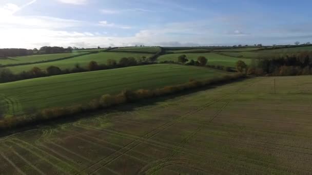 Drone Voando Sobre Campos Verdes Deliciosos Com Bom Gosto Luz — Vídeo de Stock