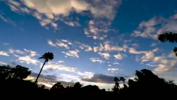 야자수 식물들의 윤곽이 드러나는 마당을 애리조나의 구름은 스코츠데일의 옥상에서 하늘을 — 비디오