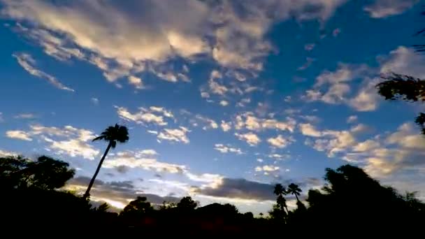하늘은 오렌지와 구름으로 구름은 야자수와 아리조나 스코츠데일에 식물들의 — 비디오
