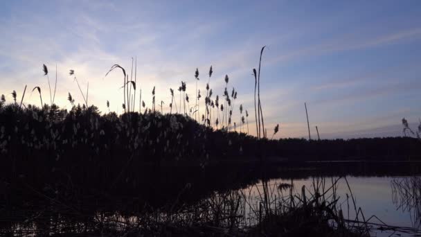 Idyllic Peaceful Evening Shores Lake Beautiful Blue Sky Background — Stok Video