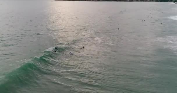 Vue Aérienne Surfeur Surfant Sur Une Vague Tombant Sur Plage — Video