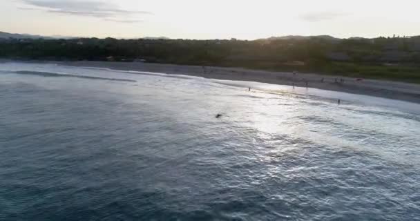 空中映画は ザカテラビーチ プエルトエスコンディド オアハカ州でサーファーの水泳を撮影 — ストック動画