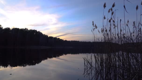 Beautiful Peaceful Evening Blue Orange Color Cloudy Sky Reflection Forest — Stock Video