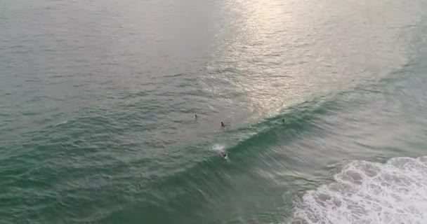 Aerial Drone Shot Surfer Surfing Wave Zicatela Beach Sunset Puerto — Vídeos de Stock