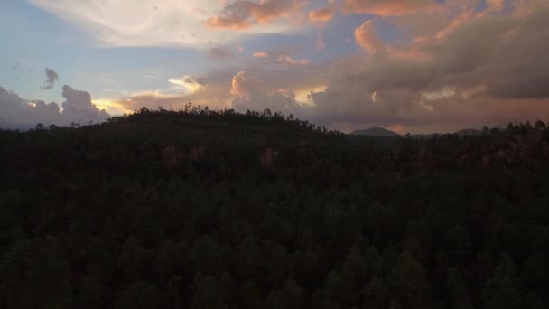 Tiro Aéreo Del Dron Del Bosque Del Parque Nacional Basaseachi — Vídeo de stock