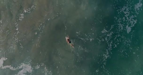 Foto Cenital Aérea Surfista Nadando Encontrando Ola Perfecta Playa Zicatela — Vídeos de Stock