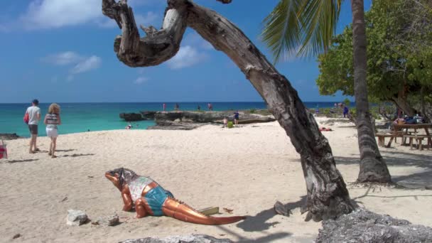 Grand Cayman Smith Barcadere Sahile Gidenler Kertenkele Heykelleriyle Geniş Açılı — Stok video
