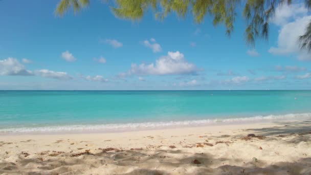 Grand Cayman Mile Beach Pan Für Zwei Strandbesucher — Stockvideo