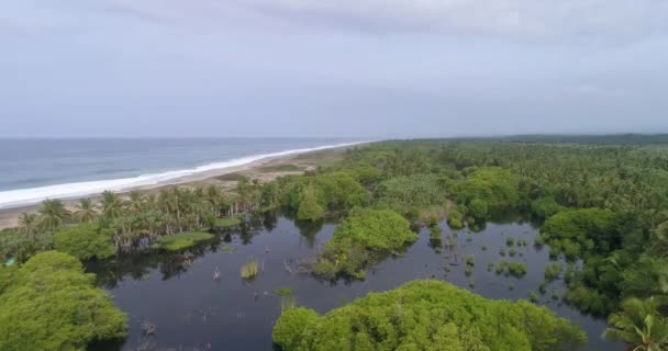 Вид Воздуха Мангровые Заросли Пляж Вентанилья Оахака — стоковое видео