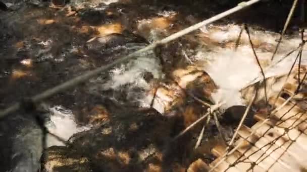 Marcher Sur Pont Bois Dessus Cours Eau Intérieur Une Forêt — Video