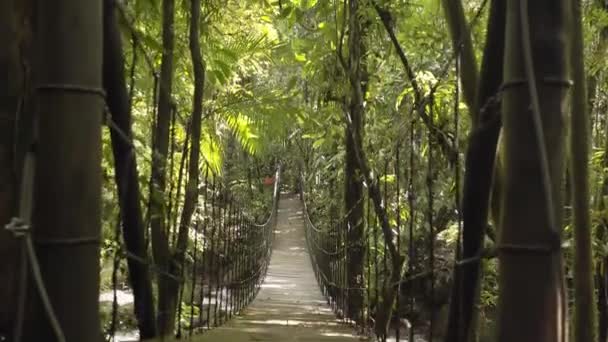 Puente Colgante Madera Sobre Arroyo Selva Amazónica Brasil — Vídeos de Stock
