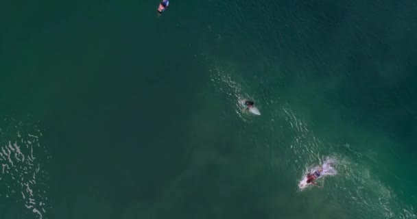 Fotografia Cinematográfica Cenital Aérea Surfista Surfando Uma Grande Onda Cano — Vídeo de Stock
