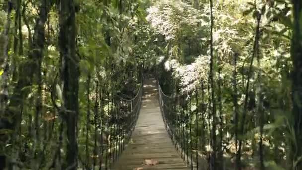 Suspension Wooden Bridge River Stream Rainforest Amazon Jungle Brazil — Stock Video