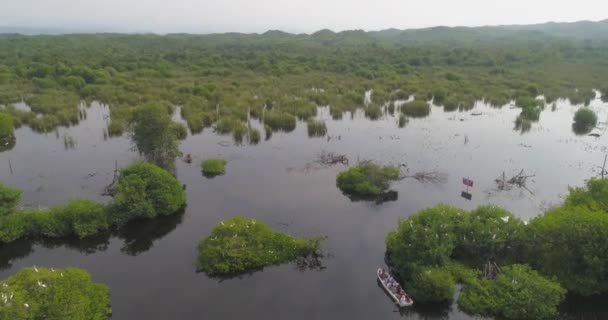 Aerial Tilt Drone Shot Mangroves Panga Boats Ventanilla Oaxaca — Stock Video