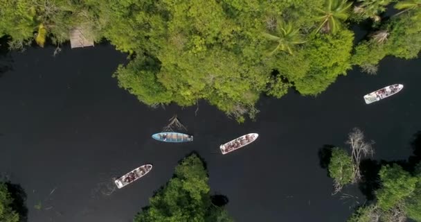 Aerial Shot Panga Boats River Mangrove Ventanilla Oaxaca — Stock Video