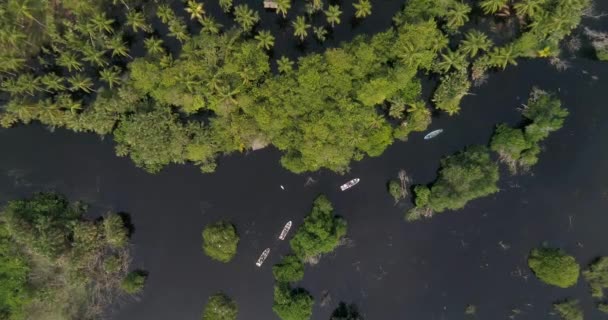 Εναέρια Κεντρική Μεγάλη Βολή Του Panga Βάρκες Στο Mangrove Ventanilla — Αρχείο Βίντεο