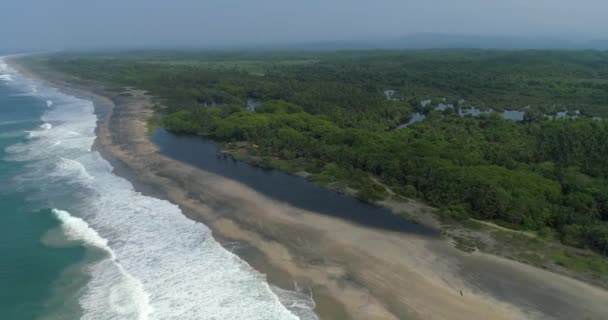 Пляж Лагуна Мангровые Заросли Вентанилья Оахака — стоковое видео