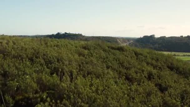 Aerea Autostrada Che Attraversa Campagna Dell Algarve Portogallo — Video Stock