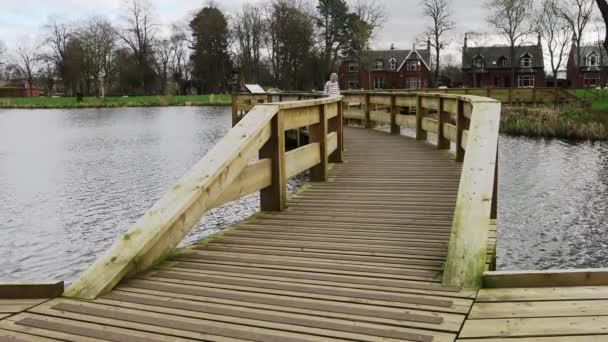 Une Femme Promenant Son Chien Dachshund — Video