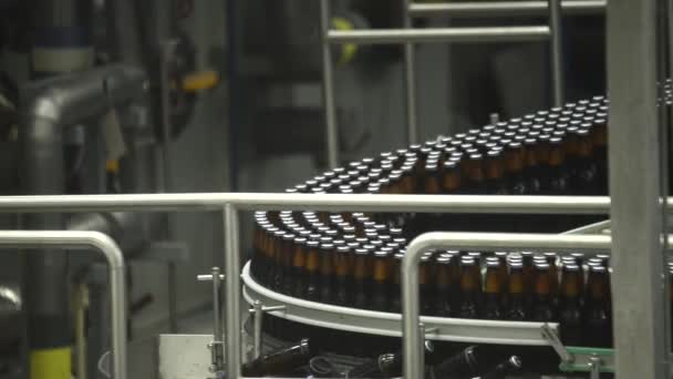 Bierfaktorie Online Produktion Faktorie Von Monterrey Mexico — Stockvideo