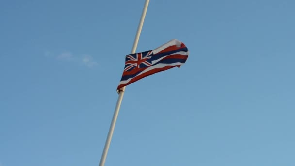 Drapeau Hawaïen Soufflant Dans Vent Fort — Video