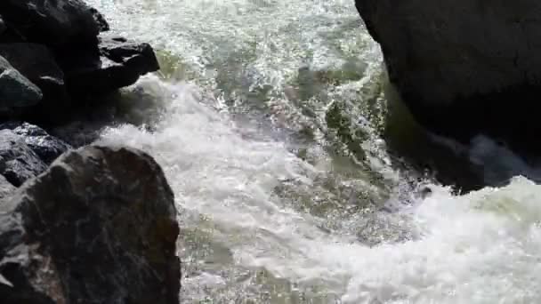 White River Water Rusar Ner Rocky Stream — Stockvideo