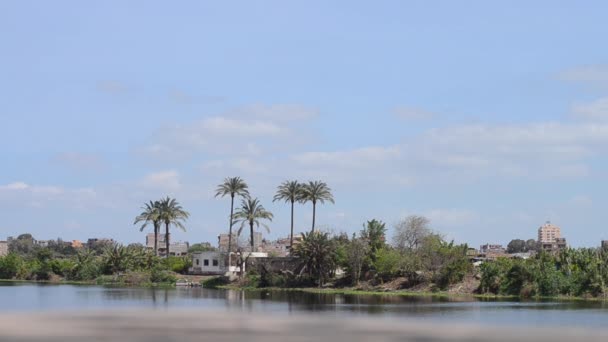 Egyptian Buildings Surrounded Palm Trees Nile River — Stock Video