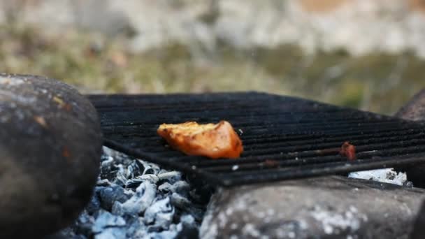 用手工将调味鸡条放在热烤架上 — 图库视频影像