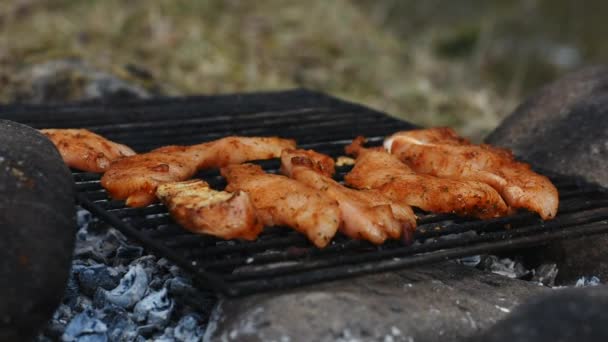 手で熱々のグリルに味付けチキンストリップを配置 — ストック動画