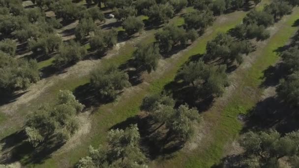 Dezvăluie Fotografii Din Satul Cazorla Din Andaluzia Spania Situat Poalele — Videoclip de stoc