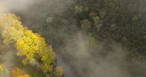 Nevoeiro Matutino Sobre Montanhas Vista Aérea — Vídeo de Stock