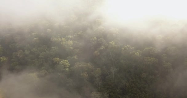 Nevoeiro Matutino Sobre Montanhas Vista Aérea — Vídeo de Stock