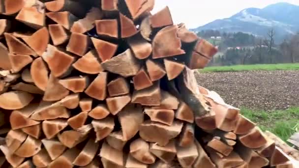 Van Bos Tot Boomstammen Natuur Brandhout Geoogst Voor Het Winterseizoen — Stockvideo