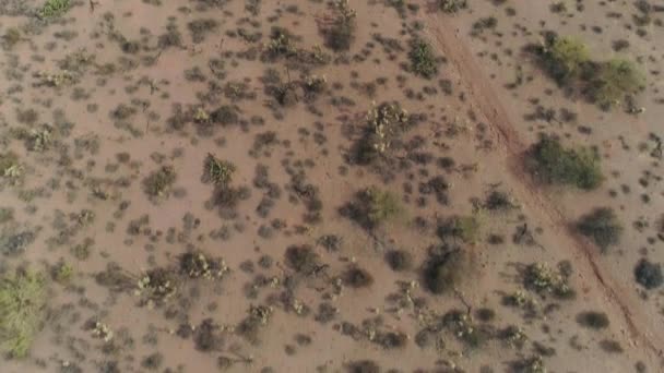 Aerial Drone Overhead Shot Desert Landscape — Vídeo de stock
