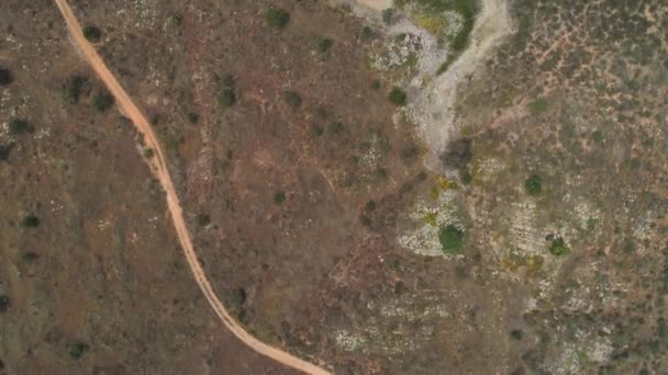 Overhead Drone Shot Road Dan Green Lake — Stok Video
