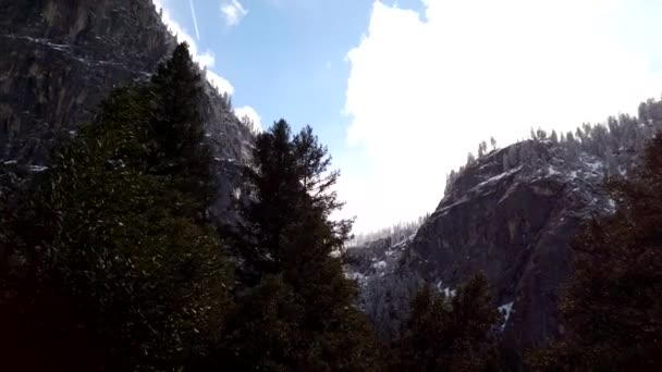 Looking Dense Trees Snow Tipped Granite Cliffs Yosemite National Park — Stock Video