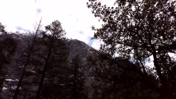 Moving Slowly Forwards Forest Looking Trees Snow Covered Mountains Cliffs — Stock Video